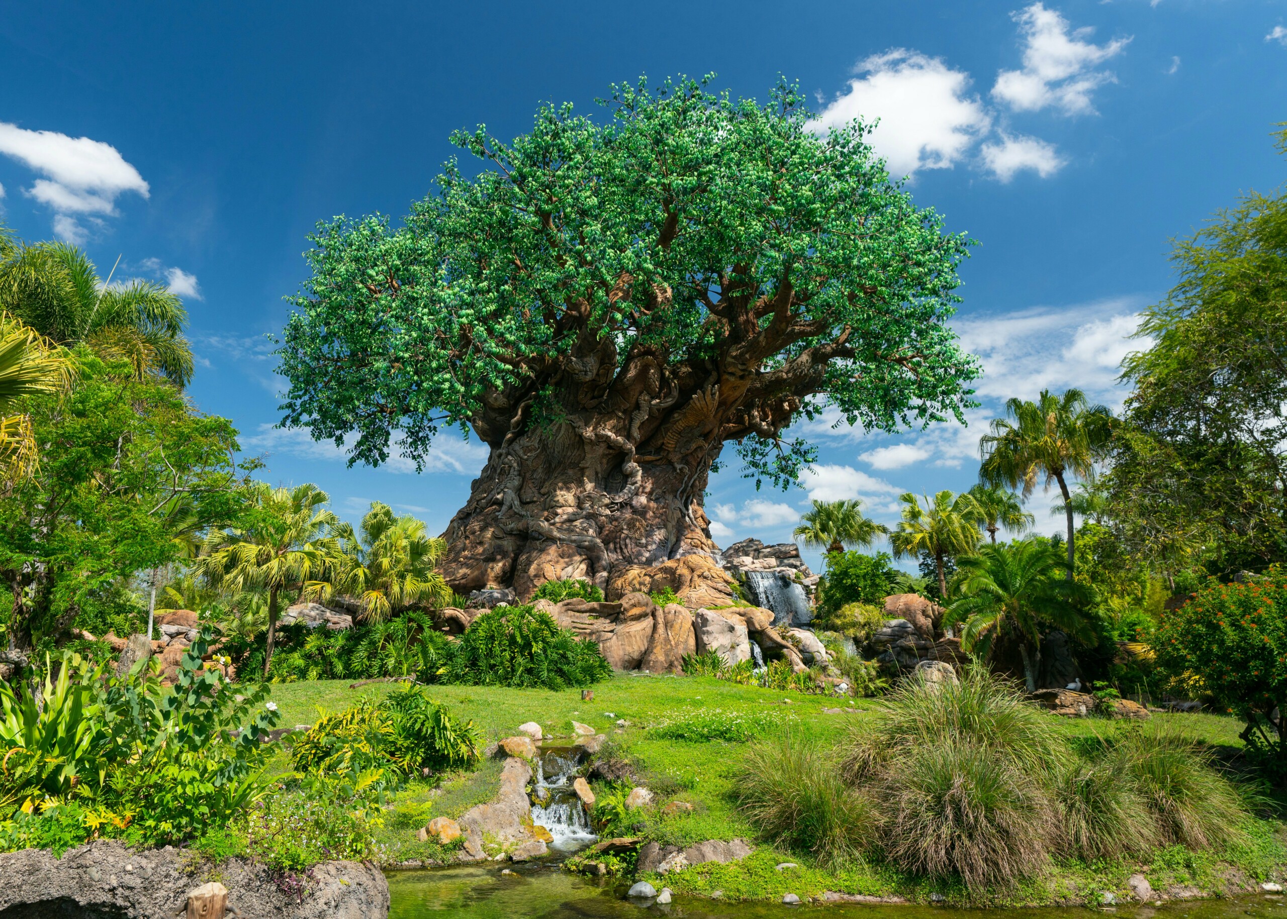 10 Quiet Places For When You Need A Break At Disney World